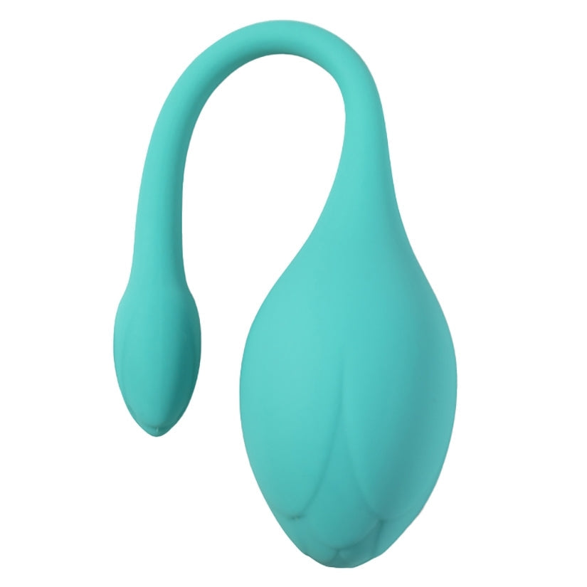 Honey Play Box Bluebell Floral Kegel Ball Exercise Set - rr7vz0-aa.myshopify.com